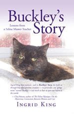 Buckley's Story: Lessons from a Feline Master Teacher