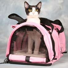 soft-sided-cat-carrier