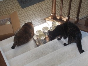 Amber and Allegra opening case of cat food