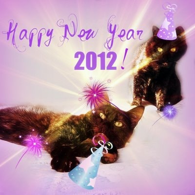 party-cats-happy-New-Year