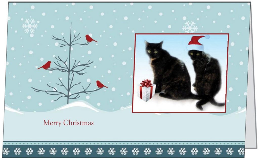 christmas-card-cats-cute