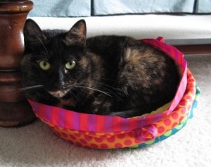 tortoiseshell cat in pink cat bed