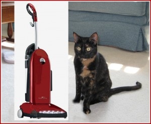 cat_with_vacuum cleaner