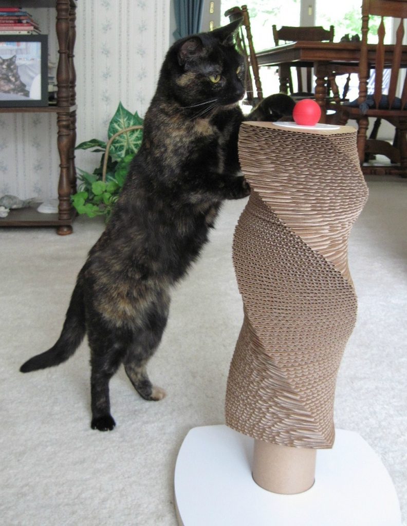 Ruby_with_moderncat_scratch_tower