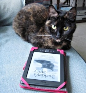 cat_with_Kindle
