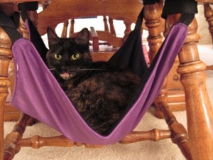 Ruby_Cat_Crib_hammock