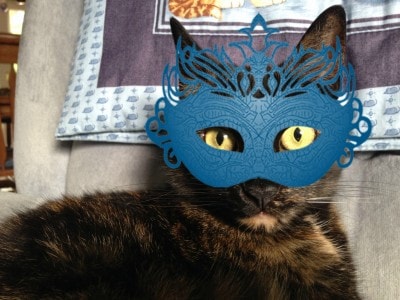 cat_with_mask