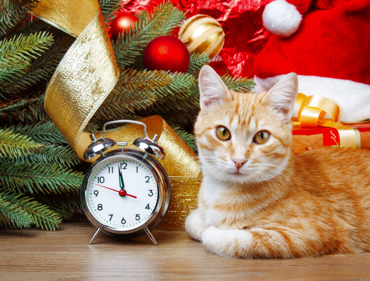cat-clock-between-the-years