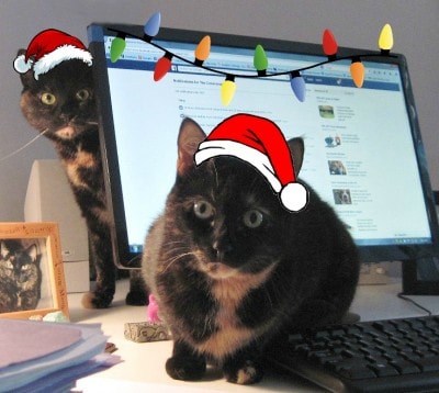 cats-letter-to-santa