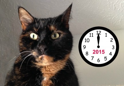 cat-with-clock