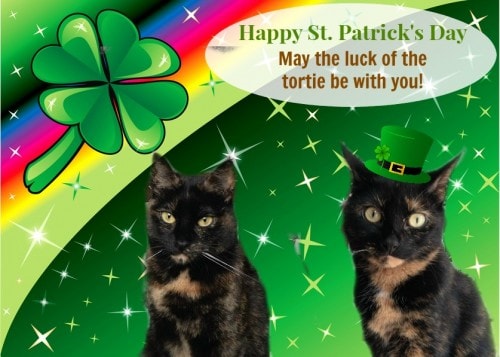 St.-Patricks-Day-cats