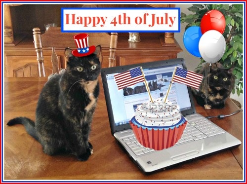 4th-of-july-cats