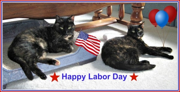 labor-day-cats