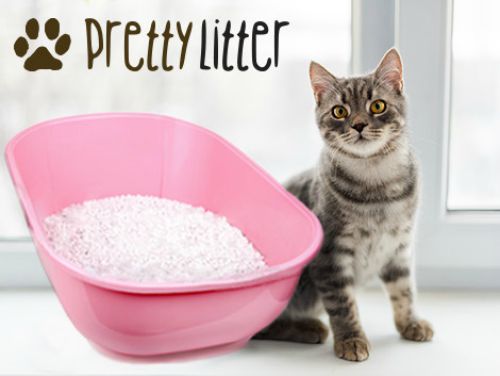 Pretty-litter-color-changing-litter
