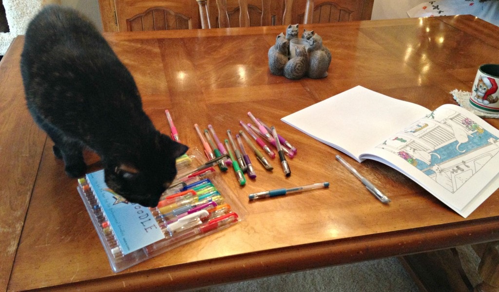 cat-coloring-book
