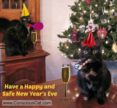 New-Years-Eve-cats