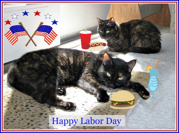 labor-day-cats