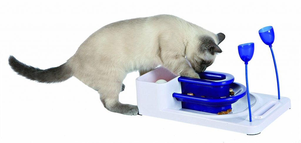 wet-food-puzzle-cats