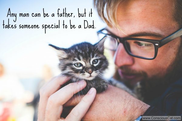 fathers-day-man-with-kitten