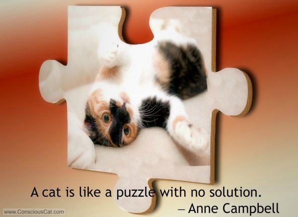 cat-puzzle