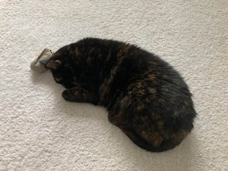 Allegra-sleeping-with-toy
