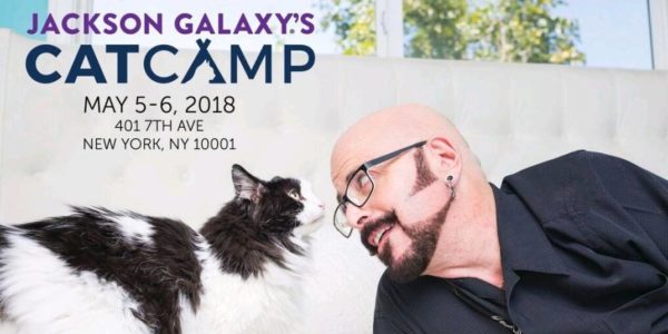 jackson-galaxy-cat-camp-nyc