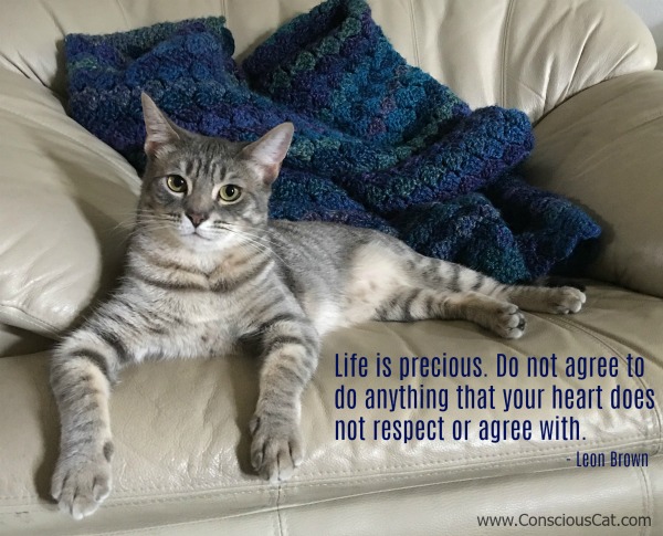life-is-precious