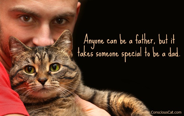 fathers-day-cat