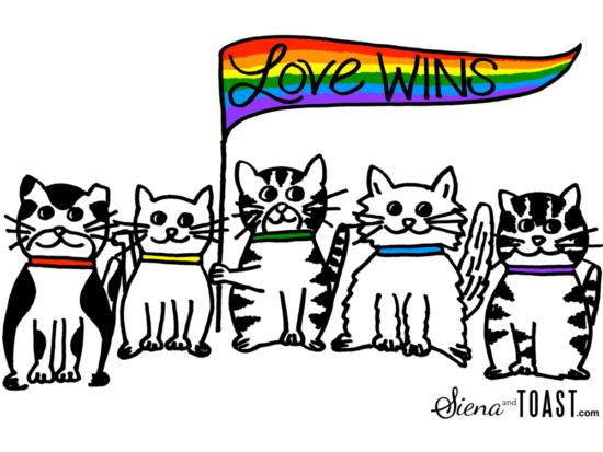 love_wins_cats