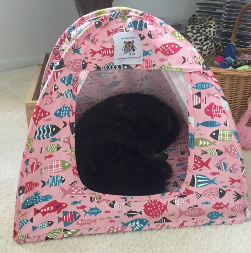 cat tent