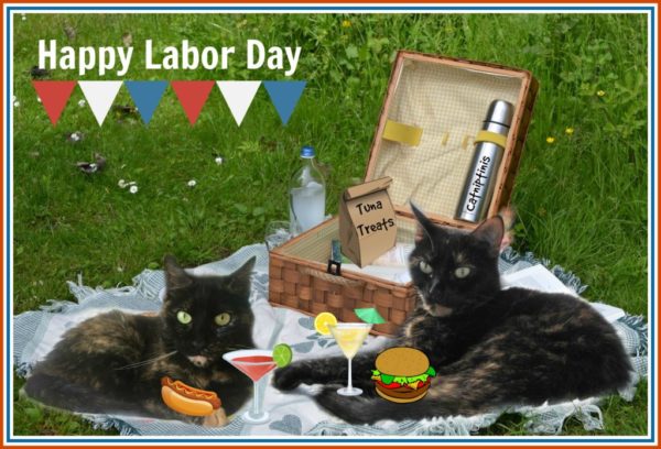 labor-day-picnic-cats