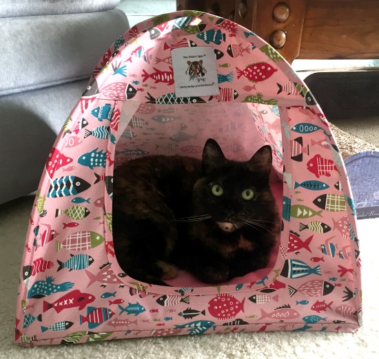 cat-fish-tent