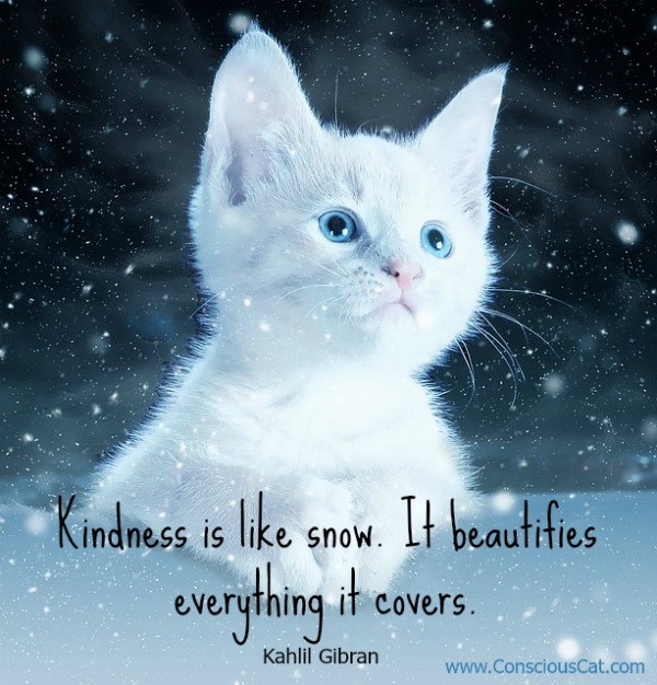 kindness-snow