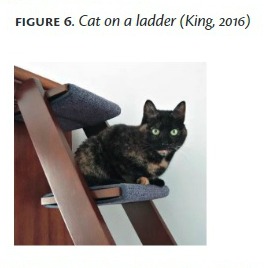 cat-ladder-math-paper