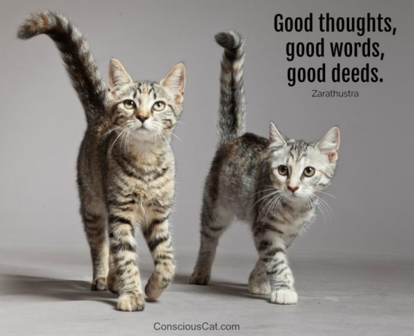 good-thoughts-good-words-good-deeds