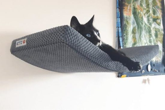 padded-cat-shelf
