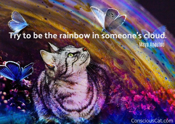 cat-rainbow-painting