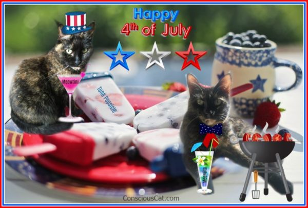 fourth-of-july-cats