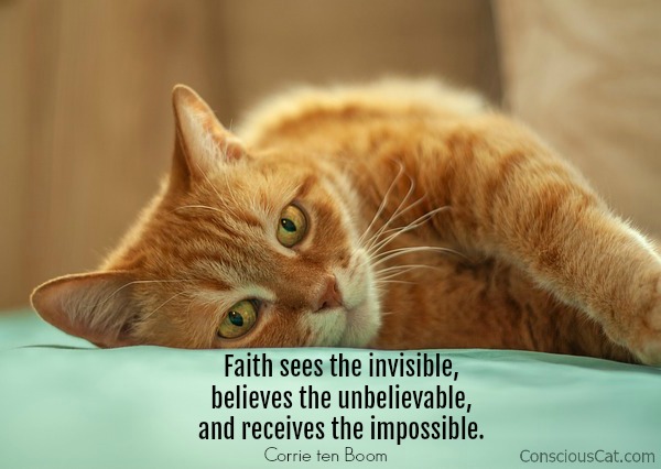 faith-cat-quote