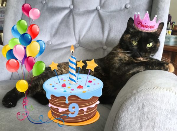 Ruby-birthday-Conscious-Cat