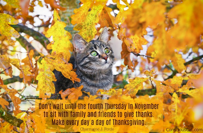 november-quote-thankful