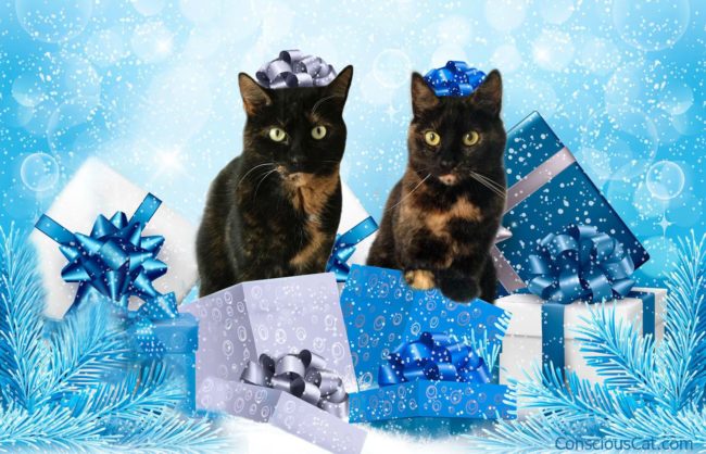 christmas-gifts-cats