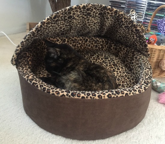 hooded-heated-cat-bed