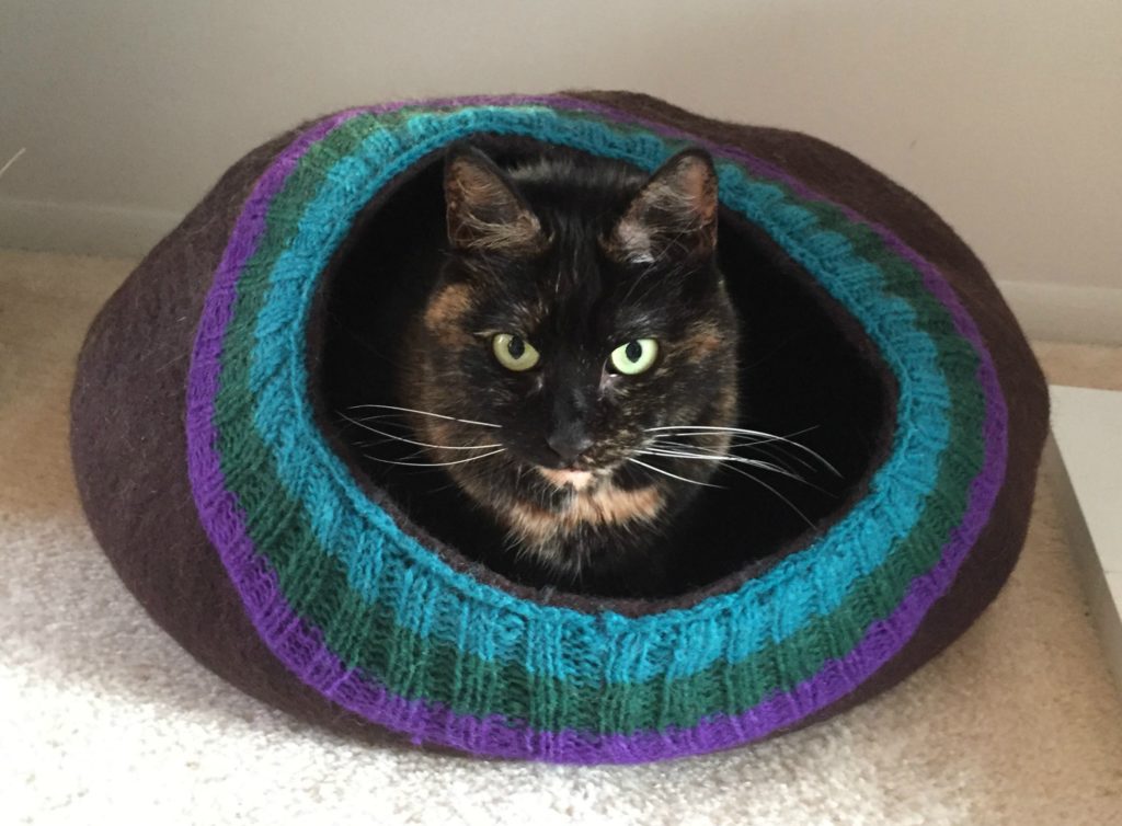 Ruby-meowfia-cat-cave