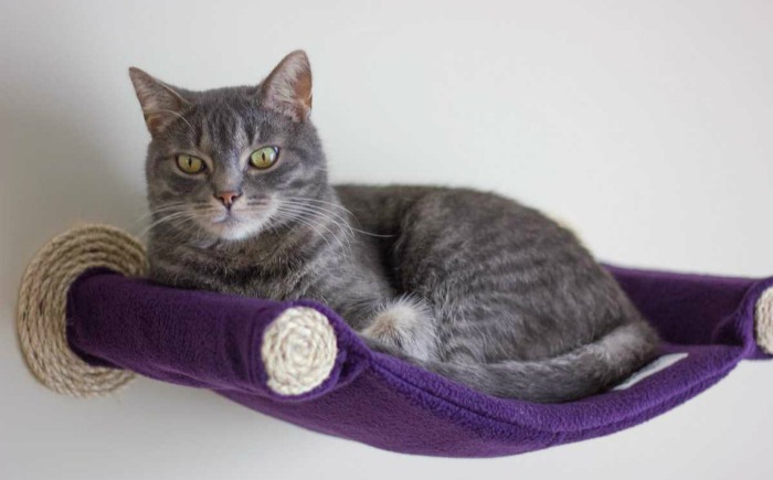 cat-hammock-wall-mounted-cat-bed