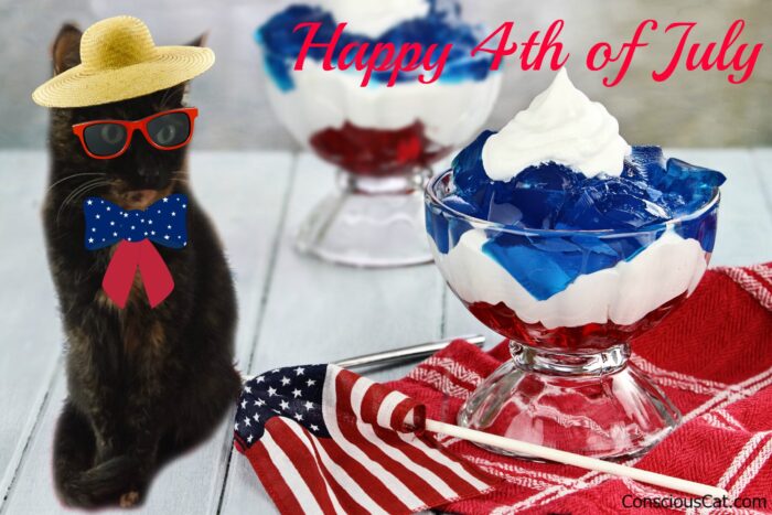 4th-of-july-cat