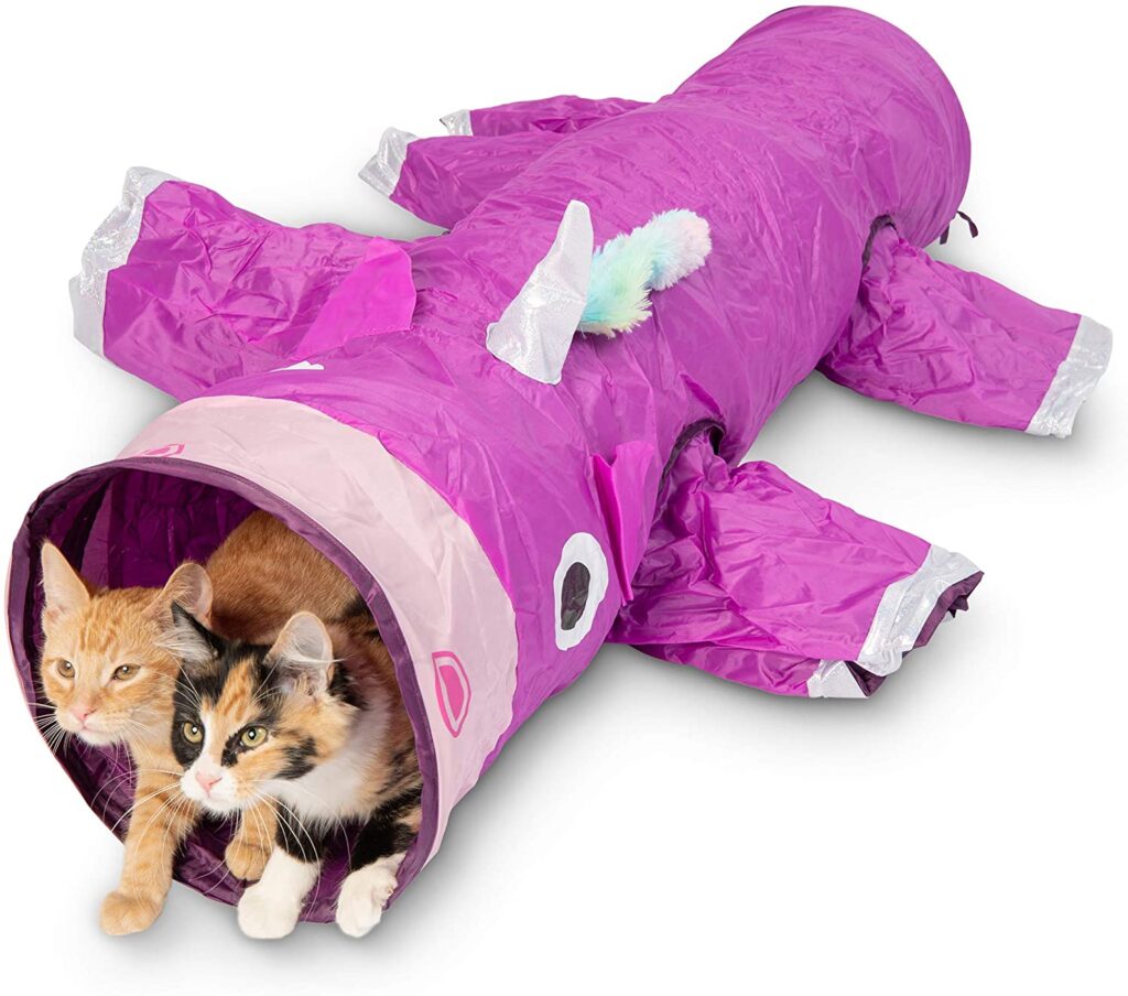purple-cat-tunnel