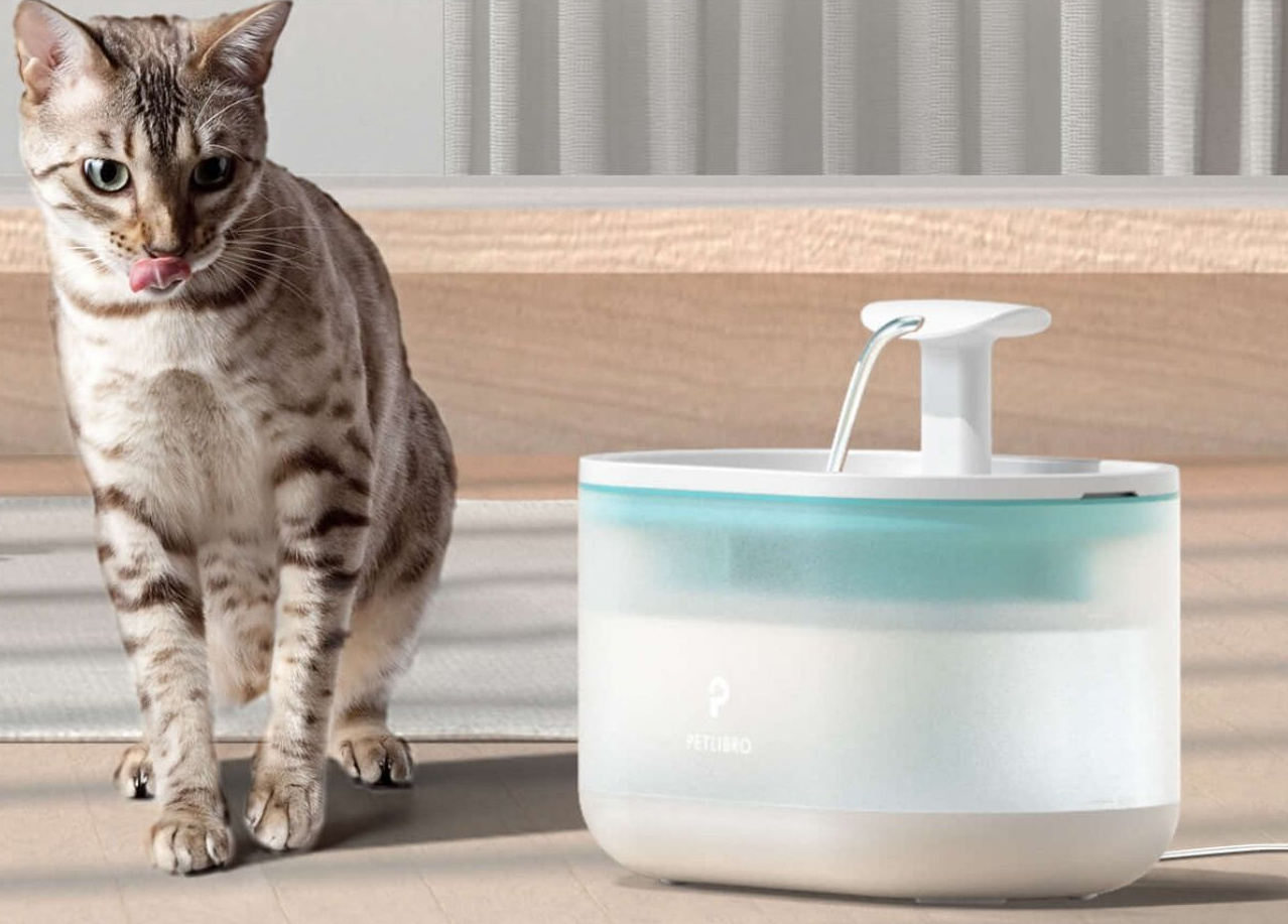 automatic-cat-fountain
