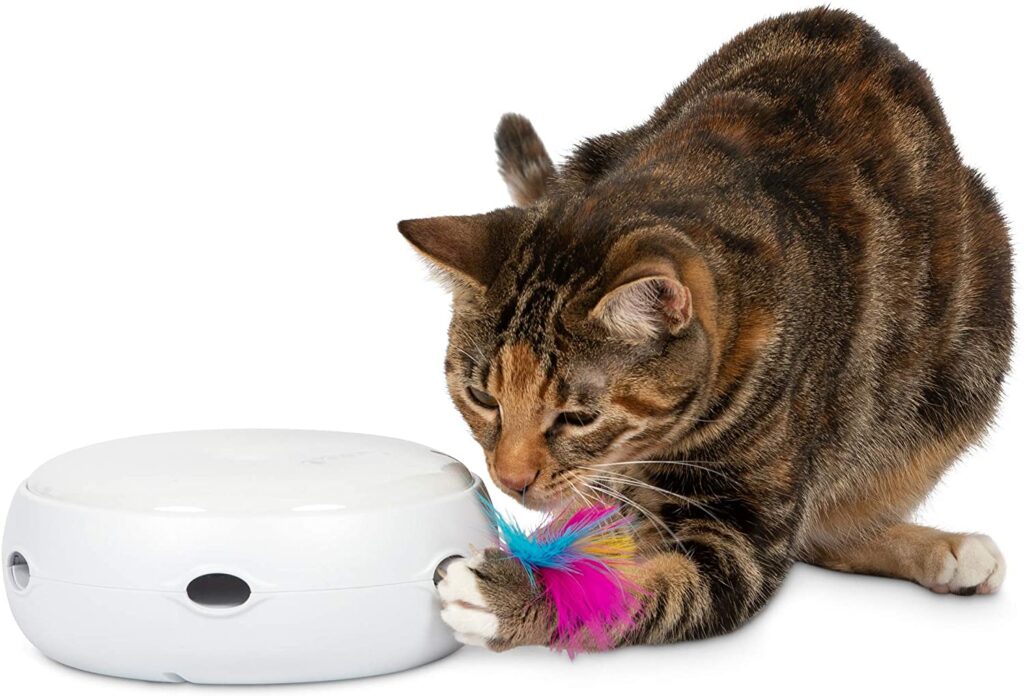 electronic-cat-toy