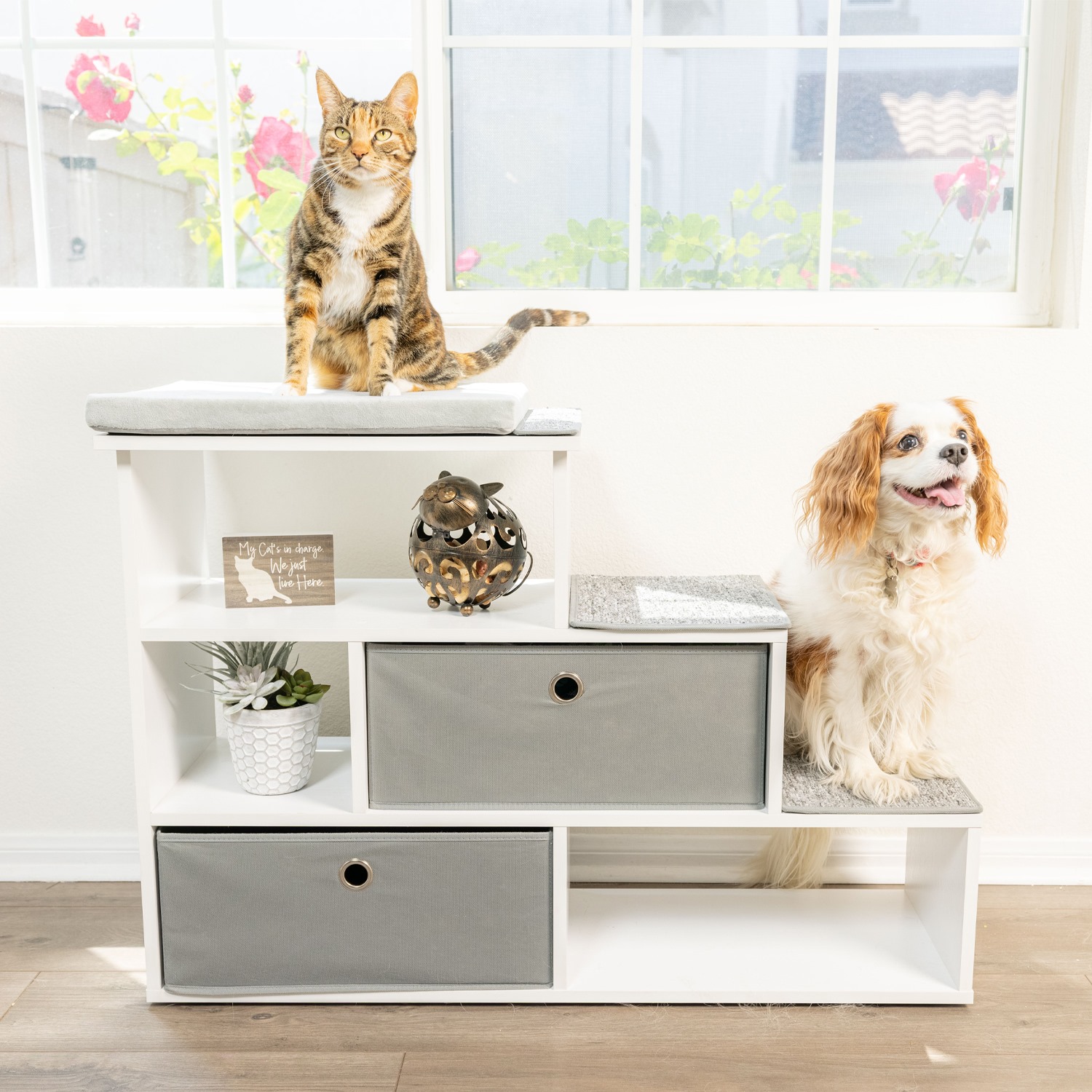 cat-furniture-shelf-storage